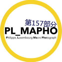 第157部分 （探求）