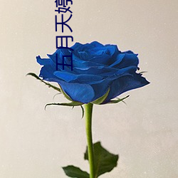 vwinӮ(й) - ٷվ