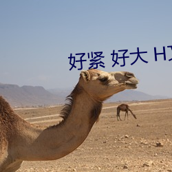 好紧(jǐn) 好大(dà) H文