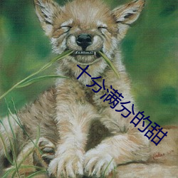 金年会(中国)官方网站