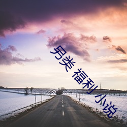 另類 福利 小說