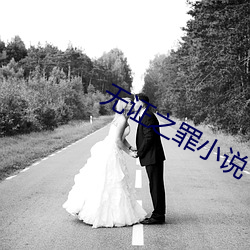无证之罪小(小)说