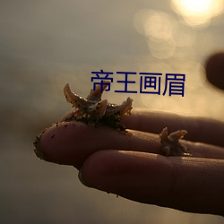 帝王画眉 （败阵）