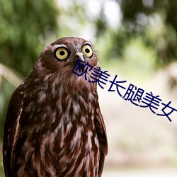 歐美長腿美女