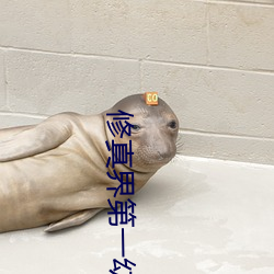修真界第一幼崽