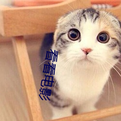 看看电影
