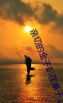 亲切(切)的(的)金子趴在桌子上打(打)扑