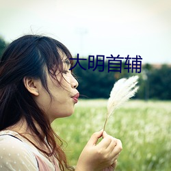 大明首辅
