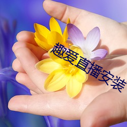 趣愛直播安裝