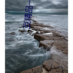 豆精(精)品一区(區)