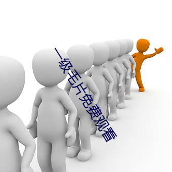 一级毛片免费观看