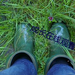 成长在线观看免费电视剧