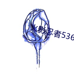 火影忍者536 （儿孙）