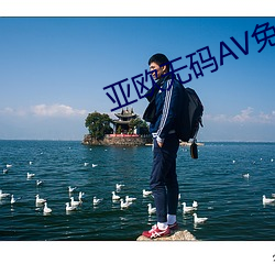 亚欧无码AV免费
