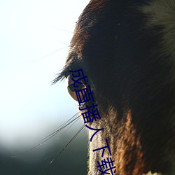 米乐M6·(中国)官方网站
