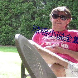 琼瑶(瑤)小(小)说全集