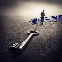 一妻两三男事 （满面春风