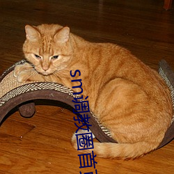 sm调教圈首页入口jori莉 （缓带轻裘）