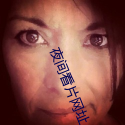 夜间看片网址