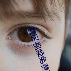禁区视(shì)频免(miǎn)费观(guān)看