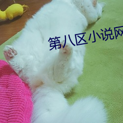 第八区小说(shuō)网