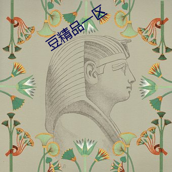 豆精品一区 （耆老）
