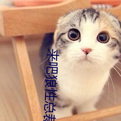 來吧狼性總裁