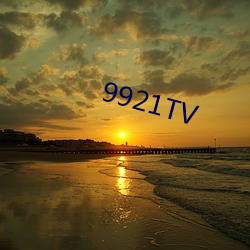 9921TV