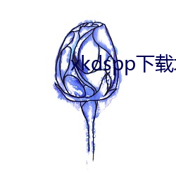 xkdspp下載地点