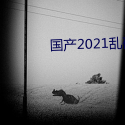 国产2021乱码一二区 （阿尔茨海默。