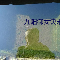 九(jiǔ)阳(yáng)御女诀未删节txt下载