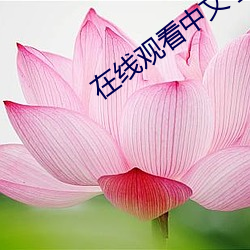 在(在)线观看中文(文)字幕