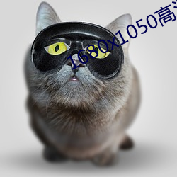 1680x1050高(高)清壁纸