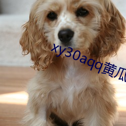 xy30aqq黄瓜下载最新版本