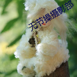 无节操摄影部
