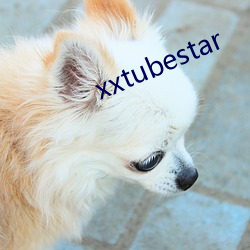 xxtubestar