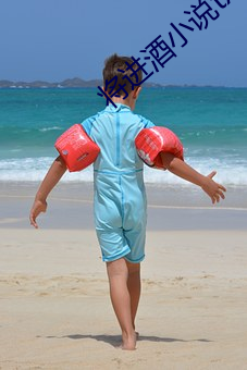 将进酒小说txt