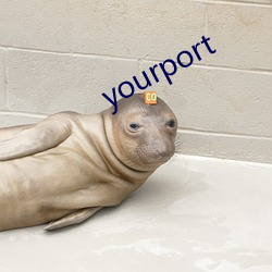 yourport