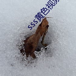sss黃色視頻