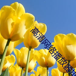 高清网络播放器排名