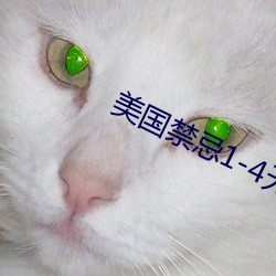 美(美)国(國)禁忌1-4无(無)删减版(版)法国
