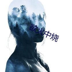 918博天堂·(中国)手机版客户端
