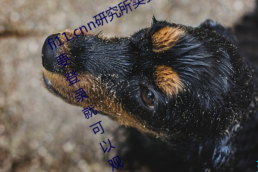 fi11.cnn研究所实验室直接入口:不需要登录就可以观看的福 贴心）