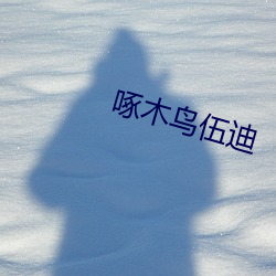 啄木鸟伍迪