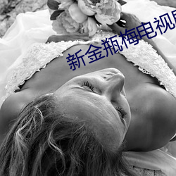 新金瓶梅电(din)视(shì)剧