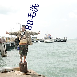 BB毛洗