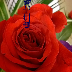 重生七零年代