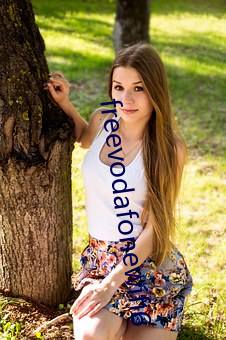 freevodafonewifi6