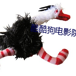 酷酷狗(狗)电影院