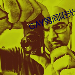 GAY男(男)同(同)阳(陽)光地带